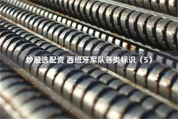 炒股选配资 西班牙军队各类标识（5）