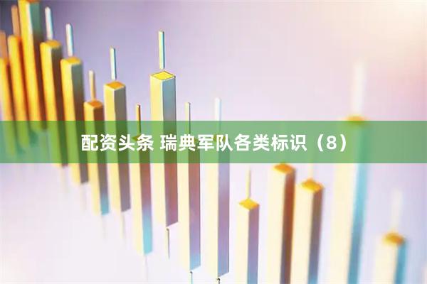 配资头条 瑞典军队各类标识（8）