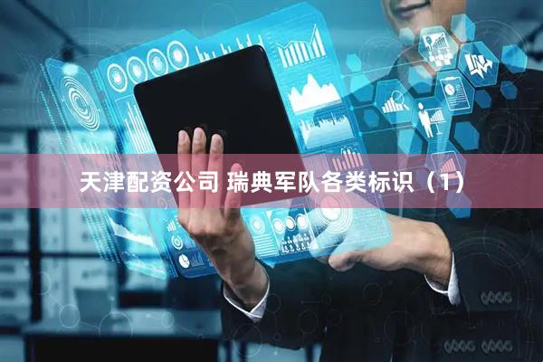 天津配资公司 瑞典军队各类标识（1）