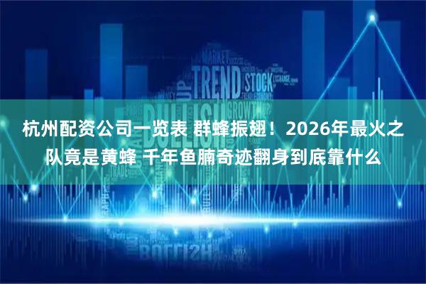 杭州配资公司一览表 群蜂振翅!2026年最火之队竟是黄蜂 千年鱼腩奇迹翻身到底靠什么