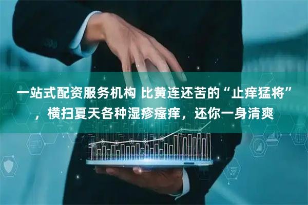 一站式配资服务机构 比黄连还苦的“止痒猛将”，横扫夏天各种湿疹瘙痒，还你一身清爽
